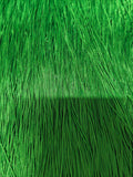 21. Lime green